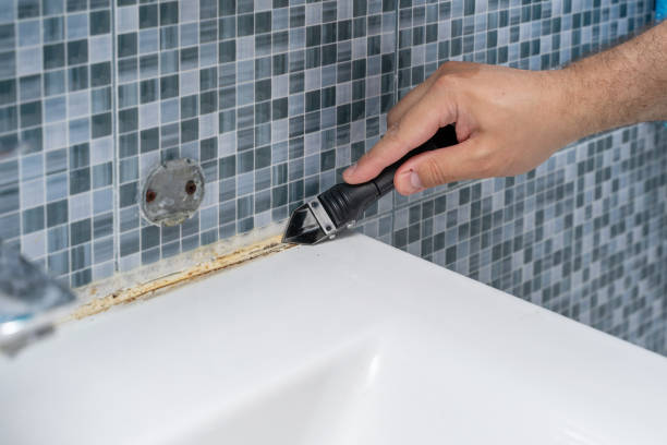 Best Mold Cleaning Services  in Portageville, MO